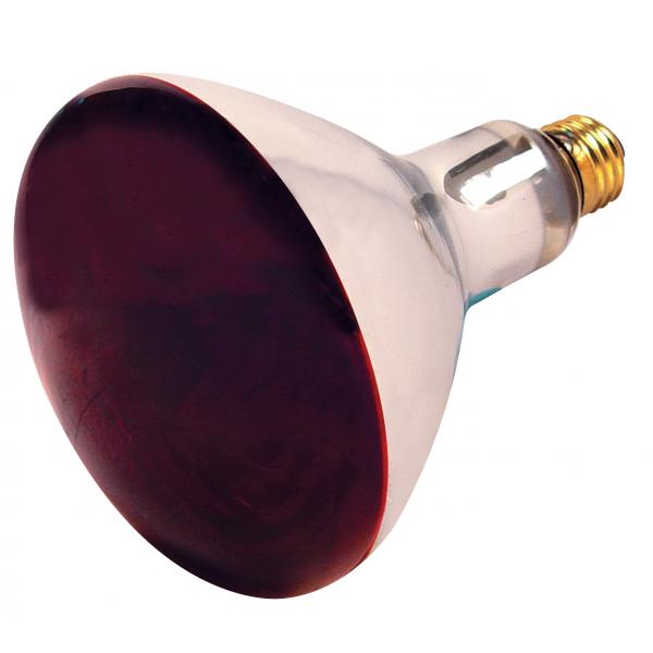 250R40/HR RED INFRARED HEAT LA Fashion