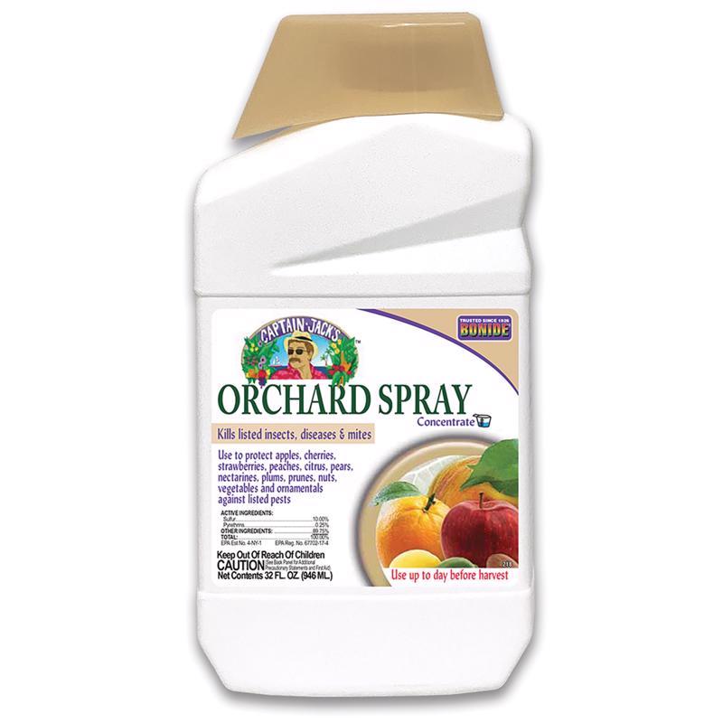 CITRUS FRUIT&NUT CON32OZ Online Hot Sale