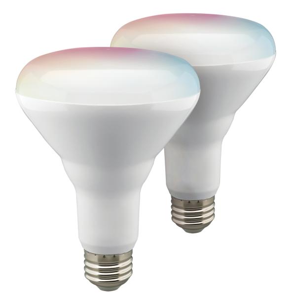 9.5BR30/LED/RGB/TW/T20/SF/2PK Online Sale