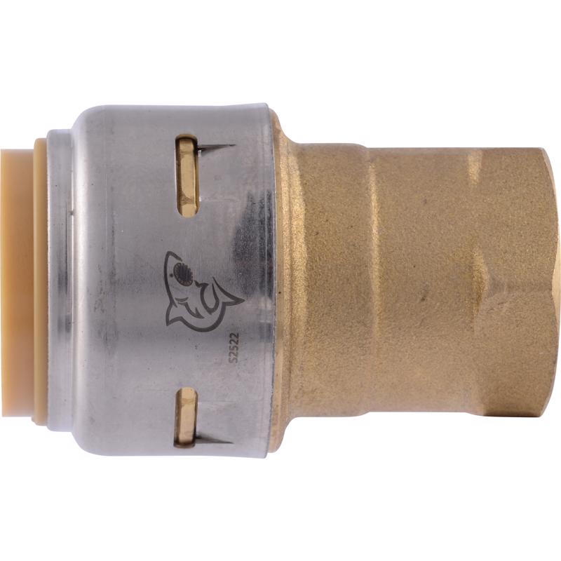 ADAPTER BRSS 200PSI 1/2″ Online Sale