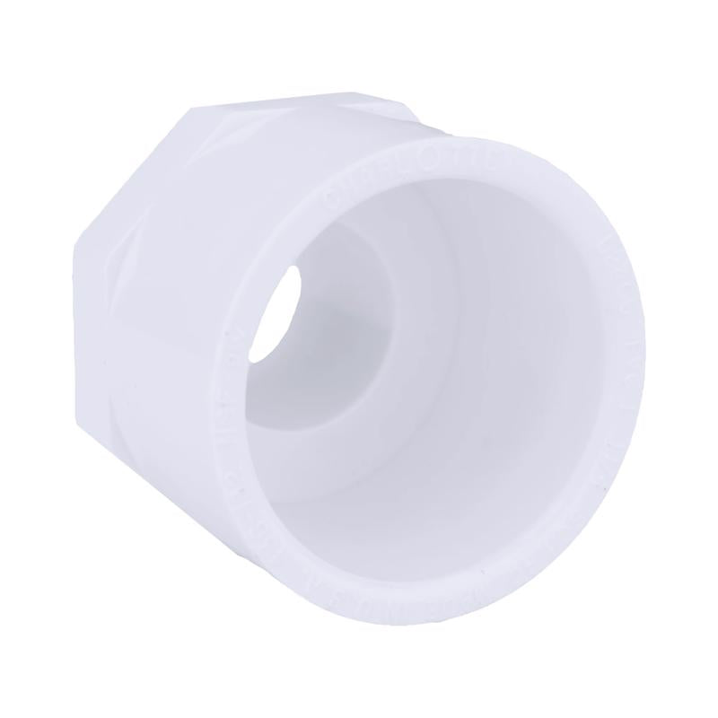 ADAPTR SCH40PVC1MPT1.25S Online