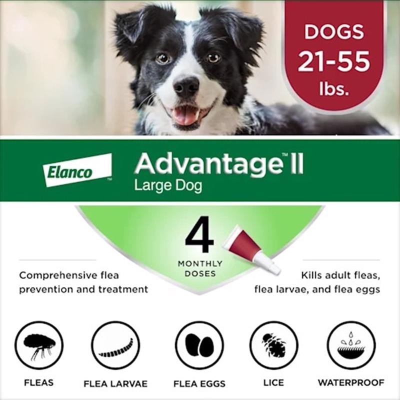 ADVANTAGE II LG DOG Online Hot Sale