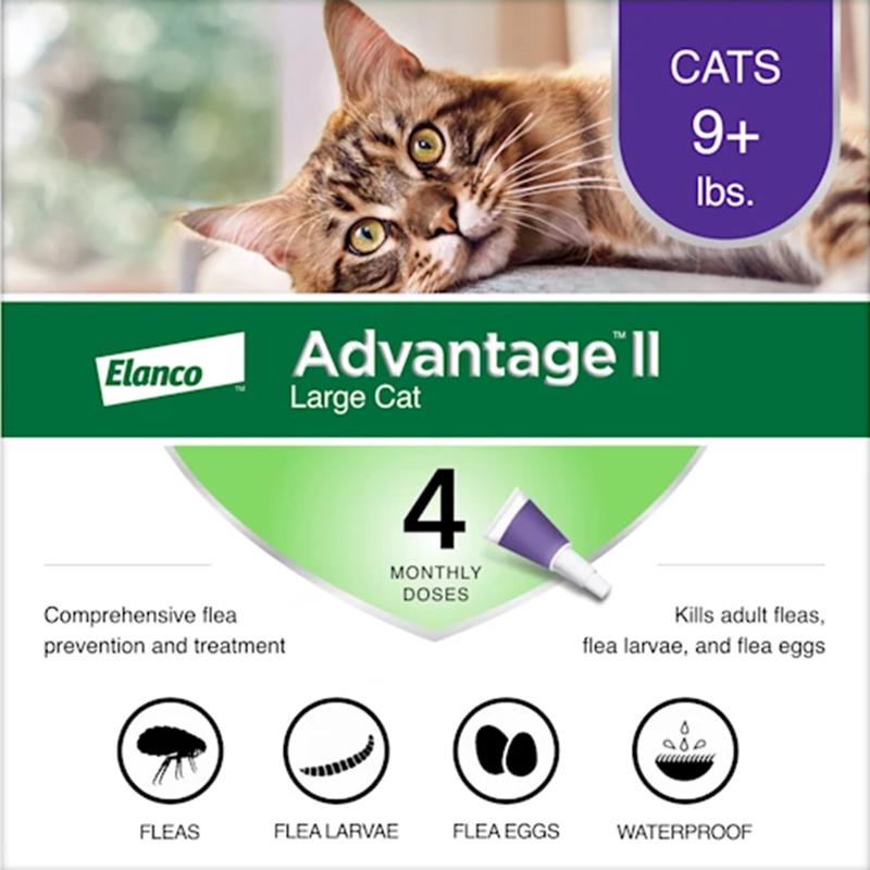 ADVANTAGE II LRG CAT Sale