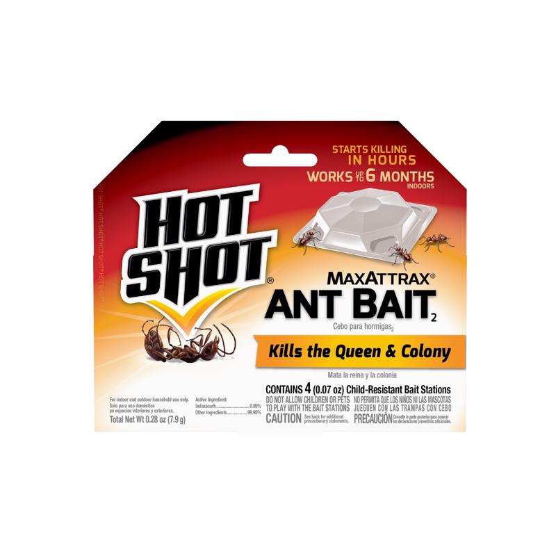 BAIT ANT MAXATTRAX 4CT Sale