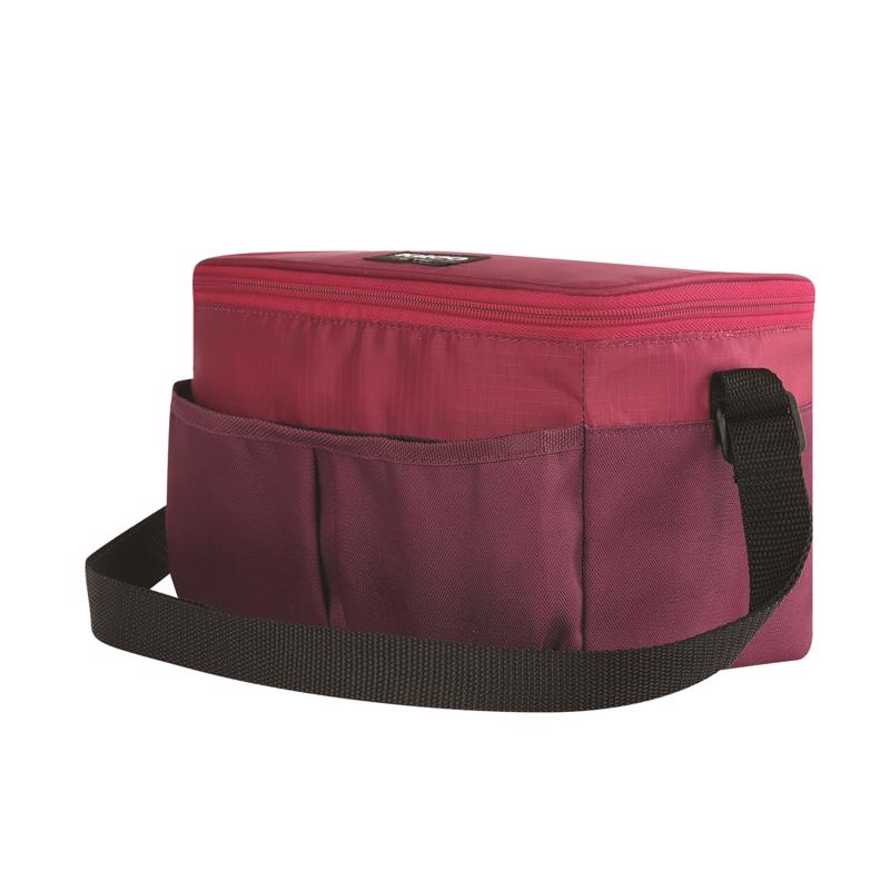 COLLAPSE&COOL 6CAN ASSD Online Hot Sale
