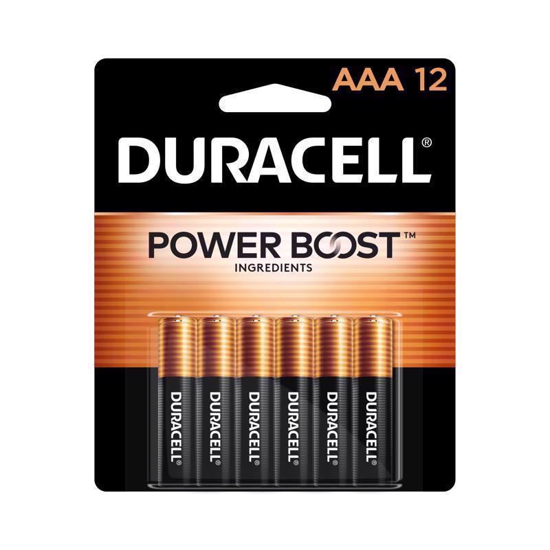 BATTERY ALKLN AAA 12PK Discount