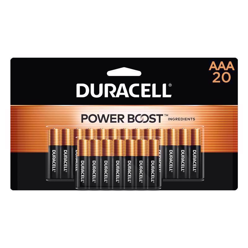 BATTERY ALKLN AAA 20PK Supply