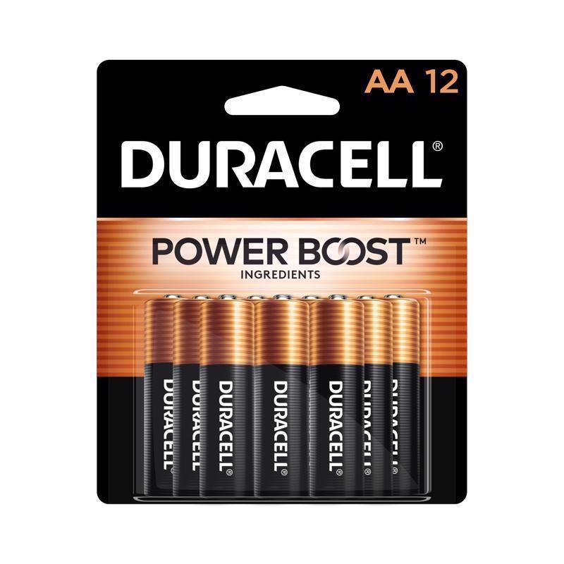 BATTERY ALKALINE AA 12PK Online