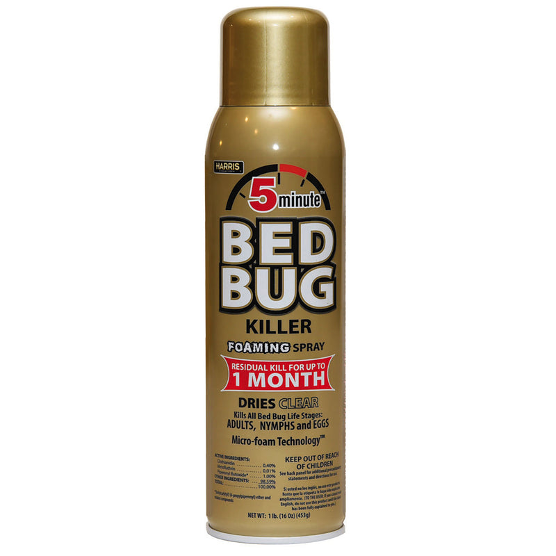 BEDBUG KLR FOAM 16OZ Online