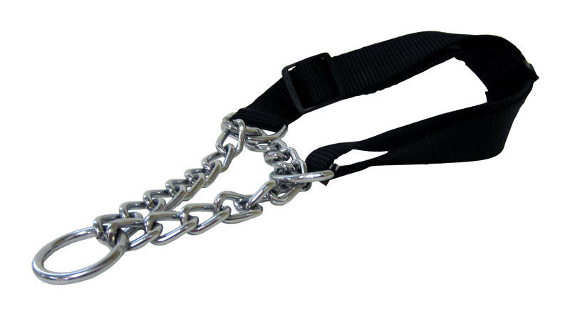 BLACK COLLAR MARTINGALE Hot on Sale