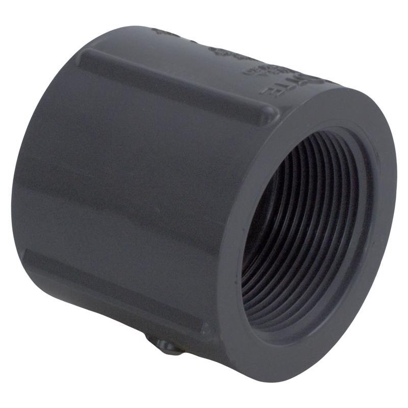 COUPLE SCH80 1.25″ FPT Supply