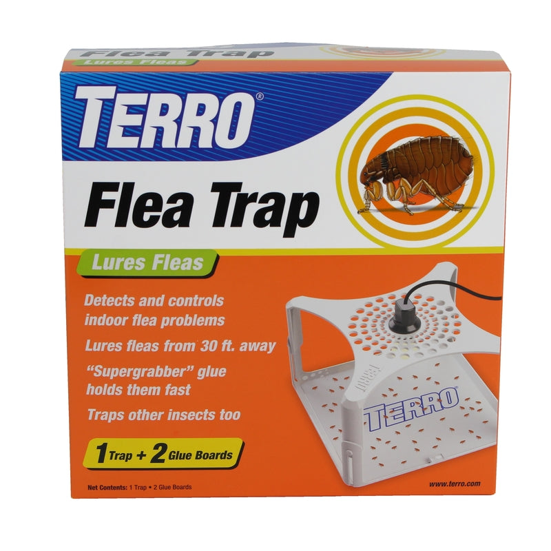 FLEA TRAP GLUE INDR Online Sale