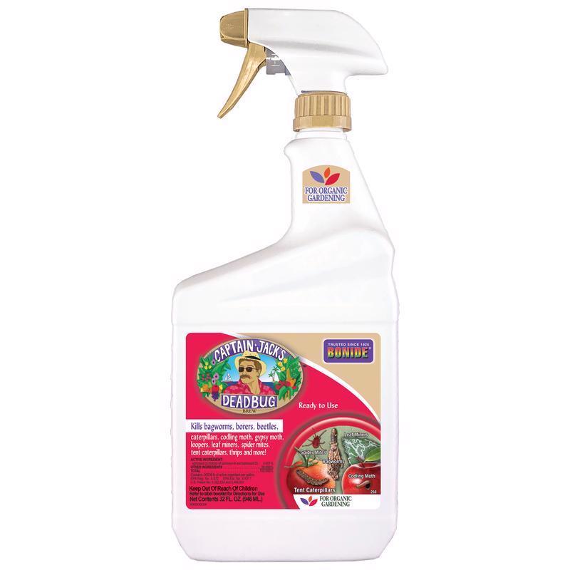 DEADBUG BREW RTU QT Supply