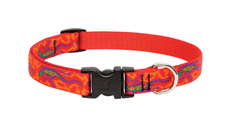 DOG COLLAR 13-22ADJ GGKO Online Hot Sale