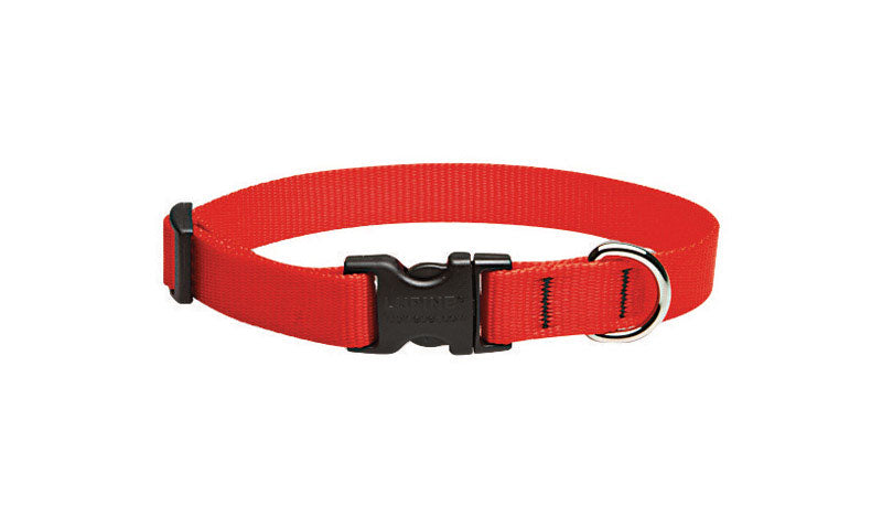 DOG COLLAR 9-14″ ADJ RED Online