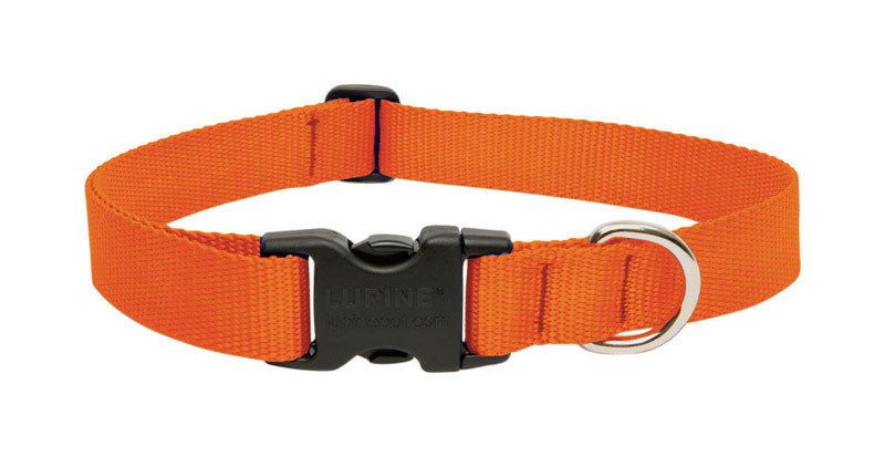 DOG COLLAR16-28″BLZORNG Fashion