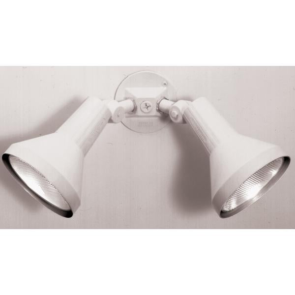 2 LIGHT 15″ PAR38 FLOODLIGHT Online Sale